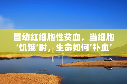巨幼红细胞性贫血，当细胞‘饥饿’时，生命如何‘补血’？