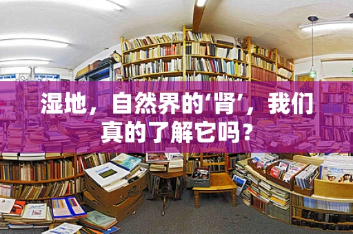 湿地，自然界的‘肾’，我们真的了解它吗？