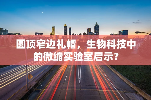 圆顶窄边礼帽，生物科技中的微缩实验室启示？