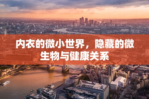 内衣的微小世界，隐藏的微生物与健康关系
