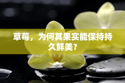 草莓，为何其果实能保持持久鲜美？