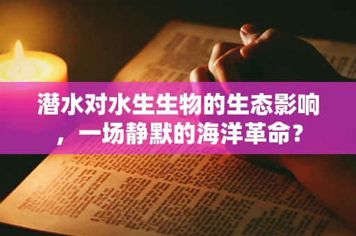 潜水对水生生物的生态影响，一场静默的海洋革命？