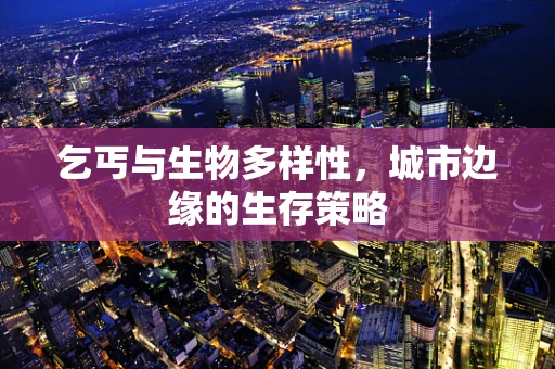 乞丐与生物多样性，城市边缘的生存策略
