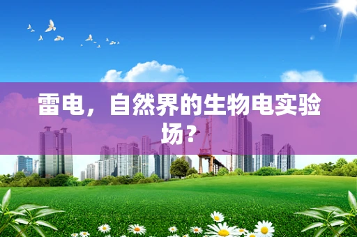 雷电，自然界的生物电实验场？