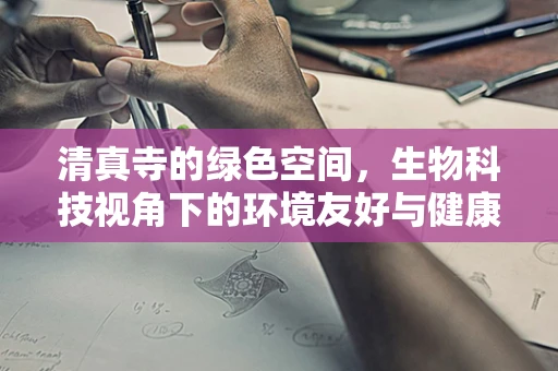 清真寺的绿色空间，生物科技视角下的环境友好与健康促进