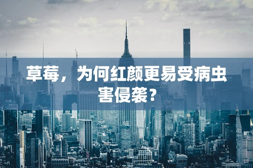 草莓，为何红颜更易受病虫害侵袭？