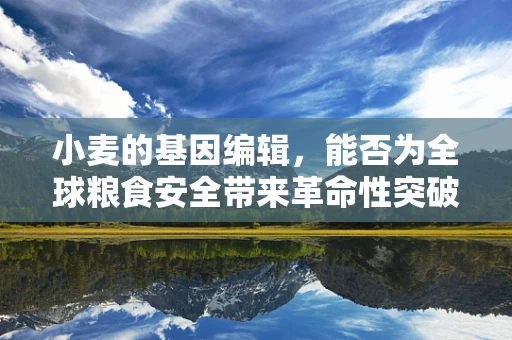 小麦的基因编辑，能否为全球粮食安全带来革命性突破？