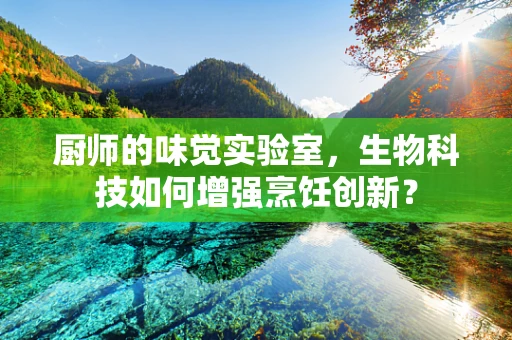 厨师的味觉实验室，生物科技如何增强烹饪创新？