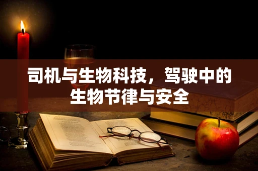 司机与生物科技，驾驶中的生物节律与安全