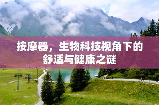 按摩器，生物科技视角下的舒适与健康之谜