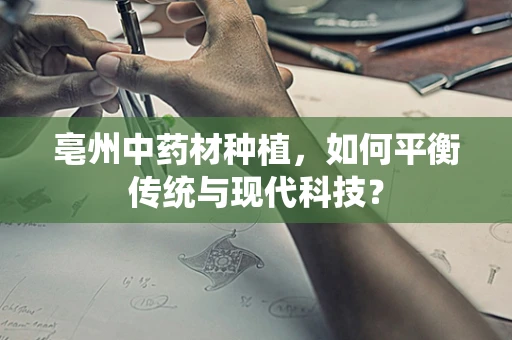 亳州中药材种植，如何平衡传统与现代科技？