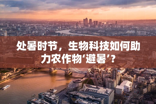 处暑时节，生物科技如何助力农作物‘避暑’？