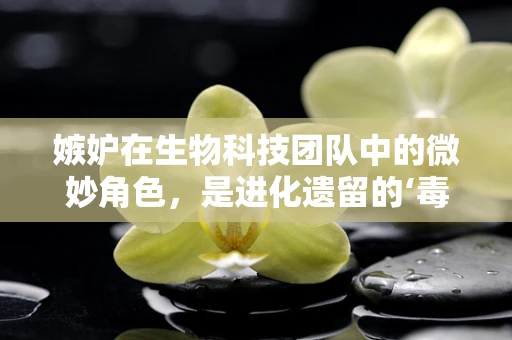 嫉妒在生物科技团队中的微妙角色，是进化遗留的‘毒药’，还是团队动力的催化剂？