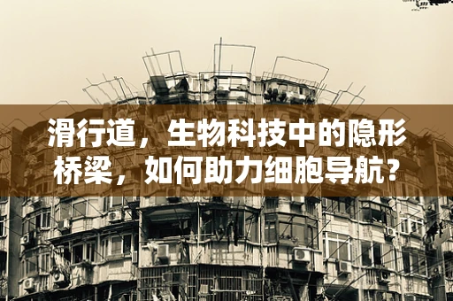 滑行道，生物科技中的隐形桥梁，如何助力细胞导航？