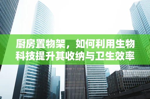 厨房置物架，如何利用生物科技提升其收纳与卫生效率？