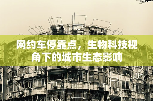 网约车停靠点，生物科技视角下的城市生态影响