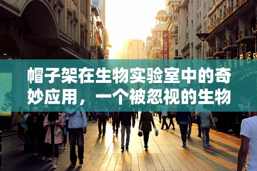 帽子架在生物实验室中的奇妙应用，一个被忽视的生物样本储存解决方案？