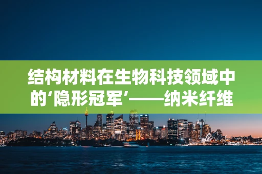 结构材料在生物科技领域中的‘隐形冠军’——纳米纤维何以成为未来之选？