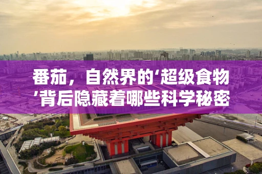 番茄，自然界的‘超级食物’背后隐藏着哪些科学秘密？