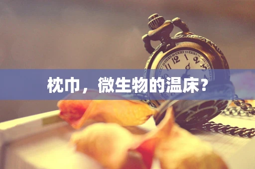 枕巾，微生物的温床？