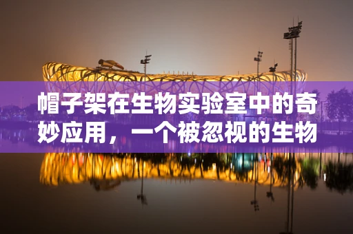 帽子架在生物实验室中的奇妙应用，一个被忽视的生物样本储存解决方案？