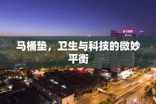 马桶垫，卫生与科技的微妙平衡