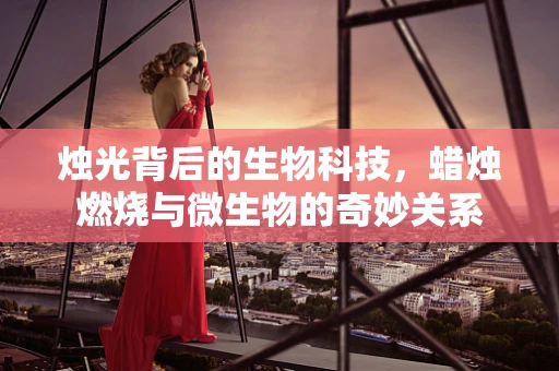 烛光背后的生物科技，蜡烛燃烧与微生物的奇妙关系