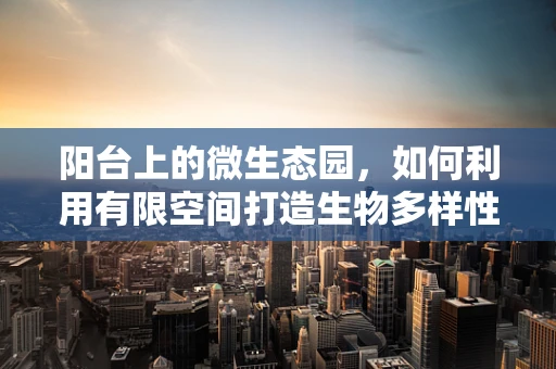 阳台上的微生态园，如何利用有限空间打造生物多样性？