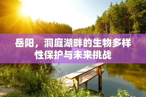 岳阳，洞庭湖畔的生物多样性保护与未来挑战