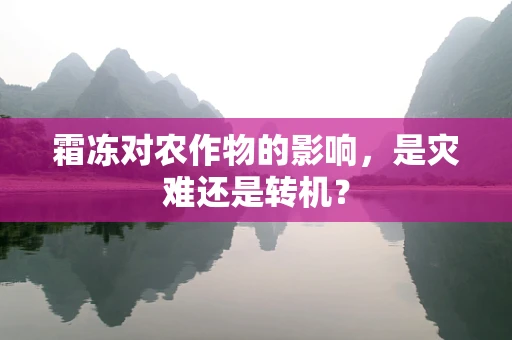 霜冻对农作物的影响，是灾难还是转机？