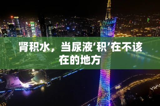 肾积水，当尿液‘积’在不该在的地方