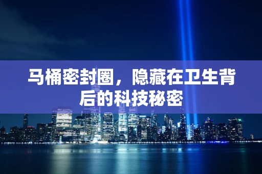马桶密封圈，隐藏在卫生背后的科技秘密