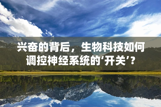 兴奋的背后，生物科技如何调控神经系统的‘开关’？