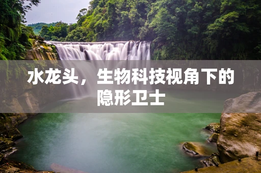 水龙头，生物科技视角下的隐形卫士