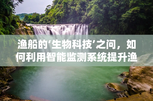 渔船的‘生物科技’之问，如何利用智能监测系统提升渔业资源可持续性？