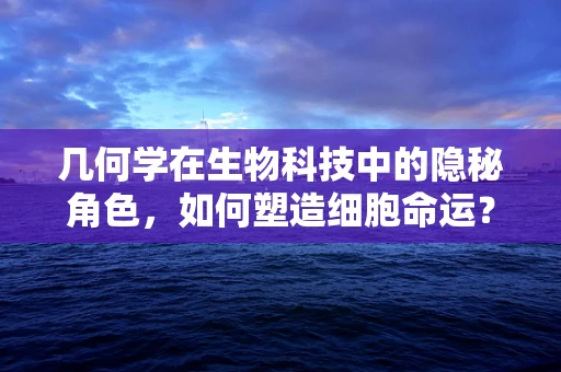 几何学在生物科技中的隐秘角色，如何塑造细胞命运？