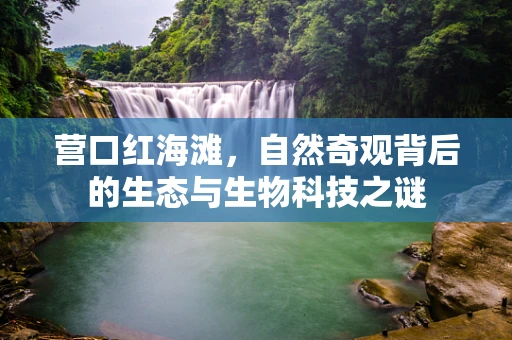 营口红海滩，自然奇观背后的生态与生物科技之谜