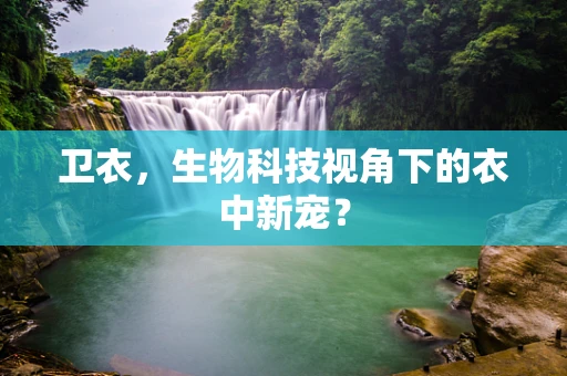 卫衣，生物科技视角下的衣中新宠？
