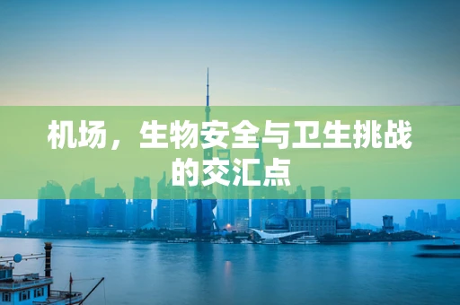 机场，生物安全与卫生挑战的交汇点
