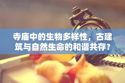 寺庙中的生物多样性，古建筑与自然生命的和谐共存？