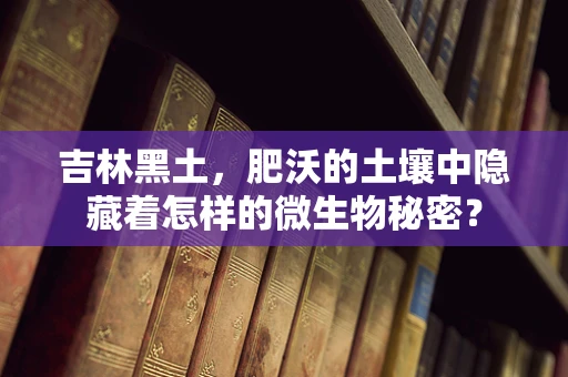 吉林黑土，肥沃的土壤中隐藏着怎样的微生物秘密？