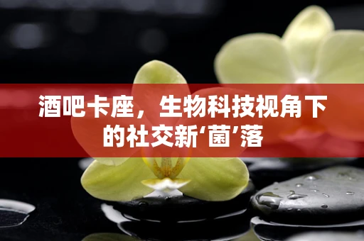 酒吧卡座，生物科技视角下的社交新‘菌’落