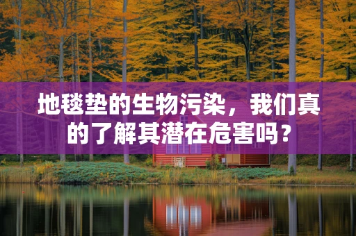 地毯垫的生物污染，我们真的了解其潜在危害吗？