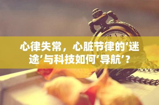 心律失常，心脏节律的‘迷途’与科技如何‘导航’？