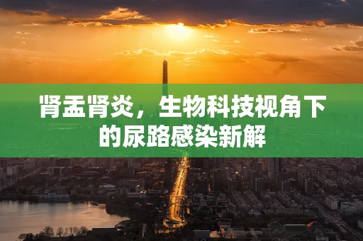 肾盂肾炎，生物科技视角下的尿路感染新解