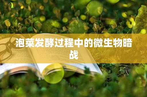 泡菜发酵过程中的微生物暗战