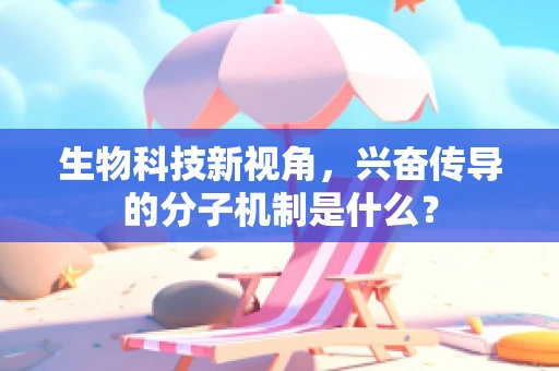 生物科技新视角，兴奋传导的分子机制是什么？