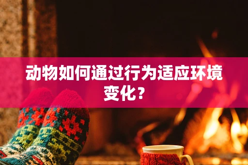 动物如何通过行为适应环境变化？