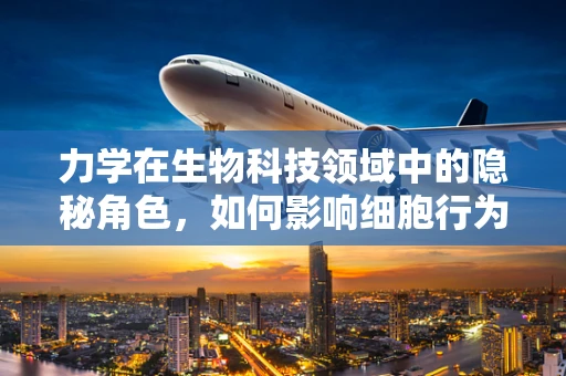 力学在生物科技领域中的隐秘角色，如何影响细胞行为？