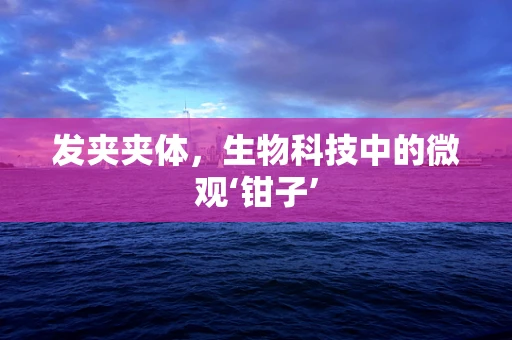 发夹夹体，生物科技中的微观‘钳子’